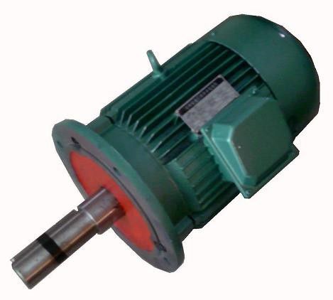 YPG series variable frequency speed control roller three-phase asynchronous motor
