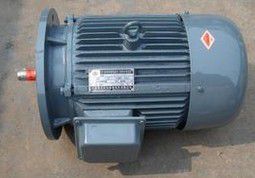 YVPG series three-phase asynchronous motor for variable frequency speed control roller